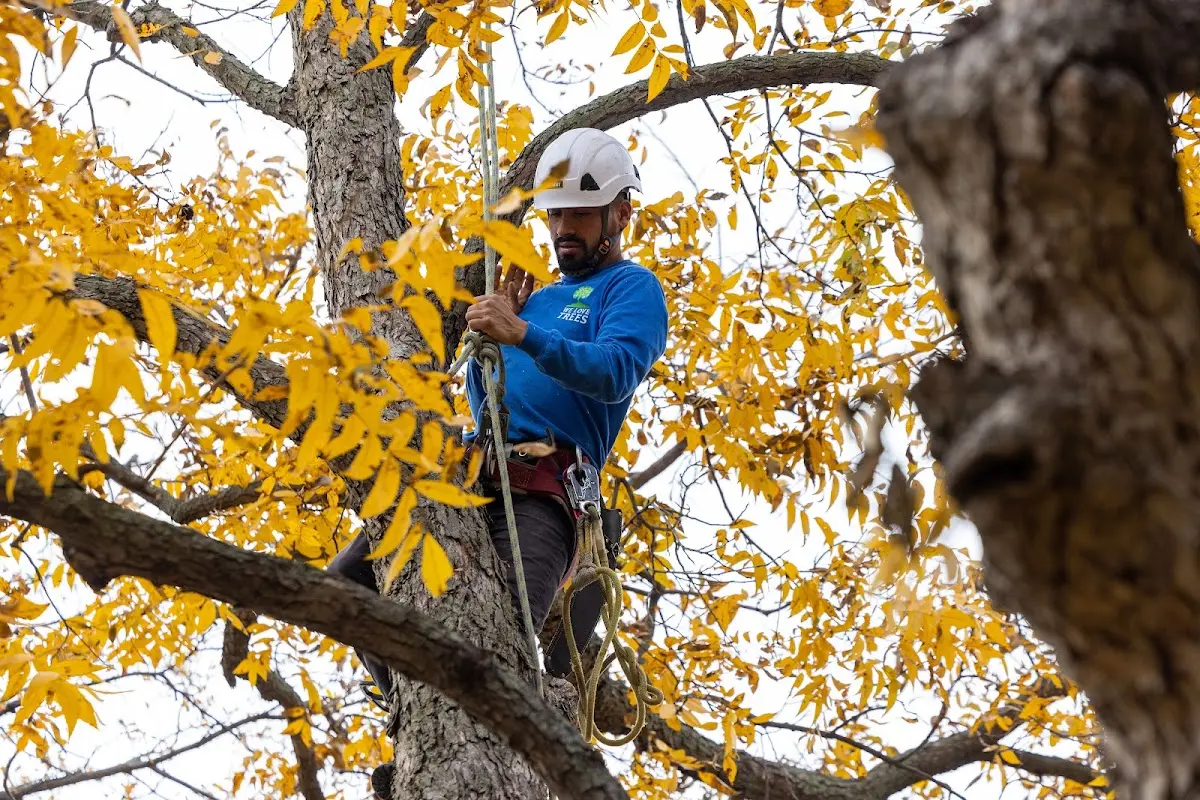 Skilled Storm Damage Cleanup crew working in Redfield