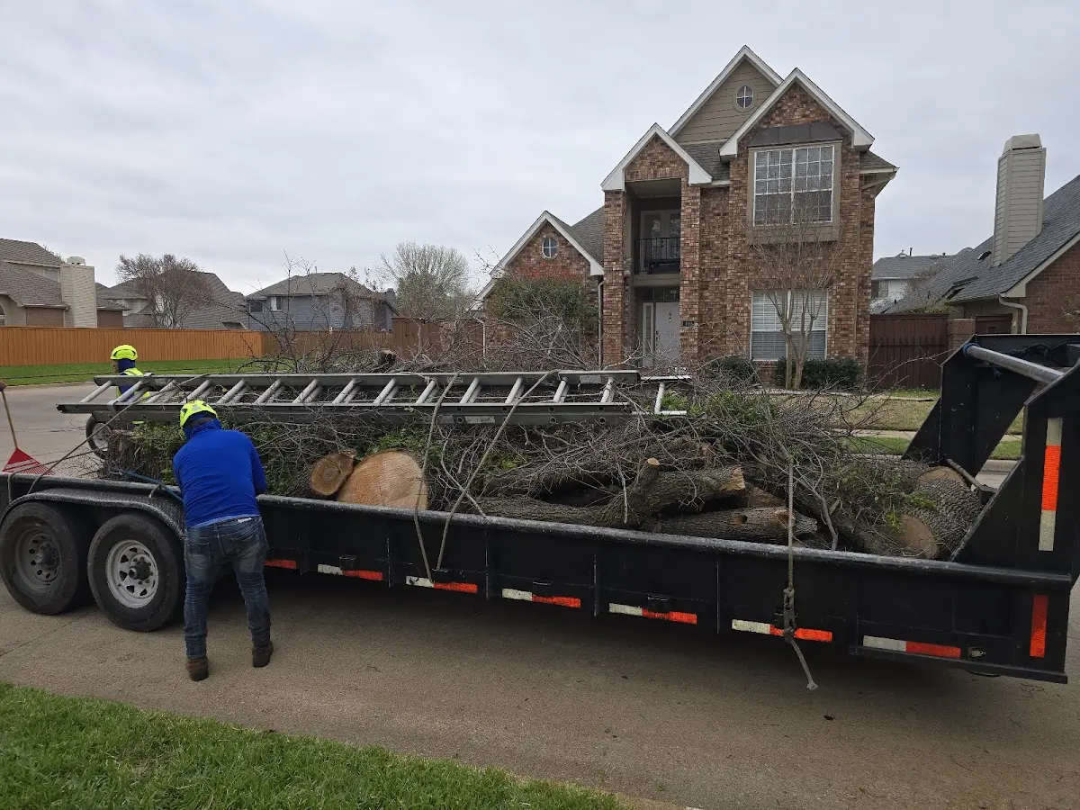 Expert Tree Pest Control with proper safety equipment in Redfield